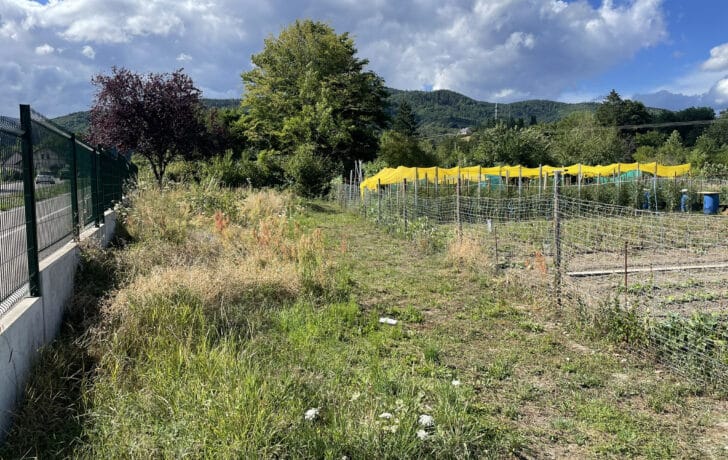 10 ARES DE TERRAIN CONSTRUCTIBLE